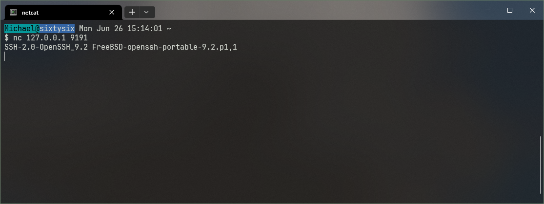 Using netcat locally to access the tunneled SSH server endpoint.