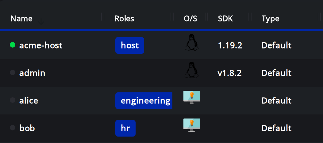 The ZAC identities list: alice with the engineering role and bob with the hr role, next to acme-host and admin.
