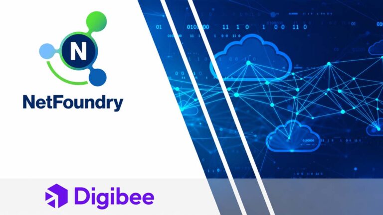 NetFoundry / Digibee Customer Story case study