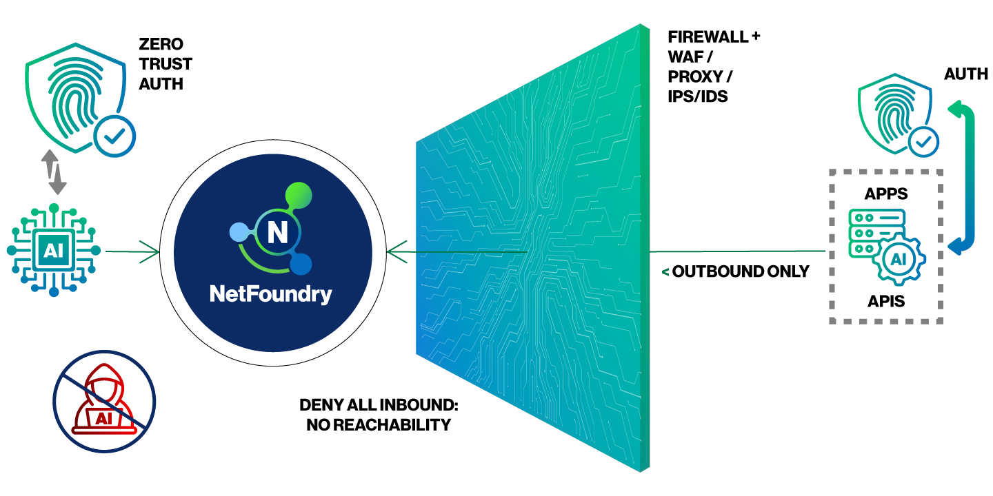 netfoundry infographic